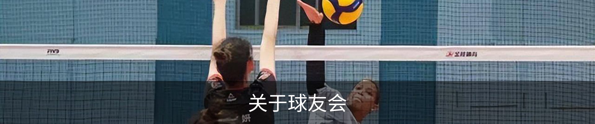 关于球友会